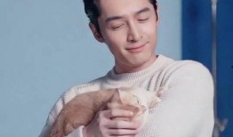 黑料网 社会热点事件视频